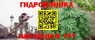 бошки Тара