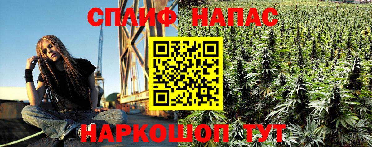 Новоалександровск  Бошки марихуана сатива  Вход с VPN  Бошки марихуана планчик 